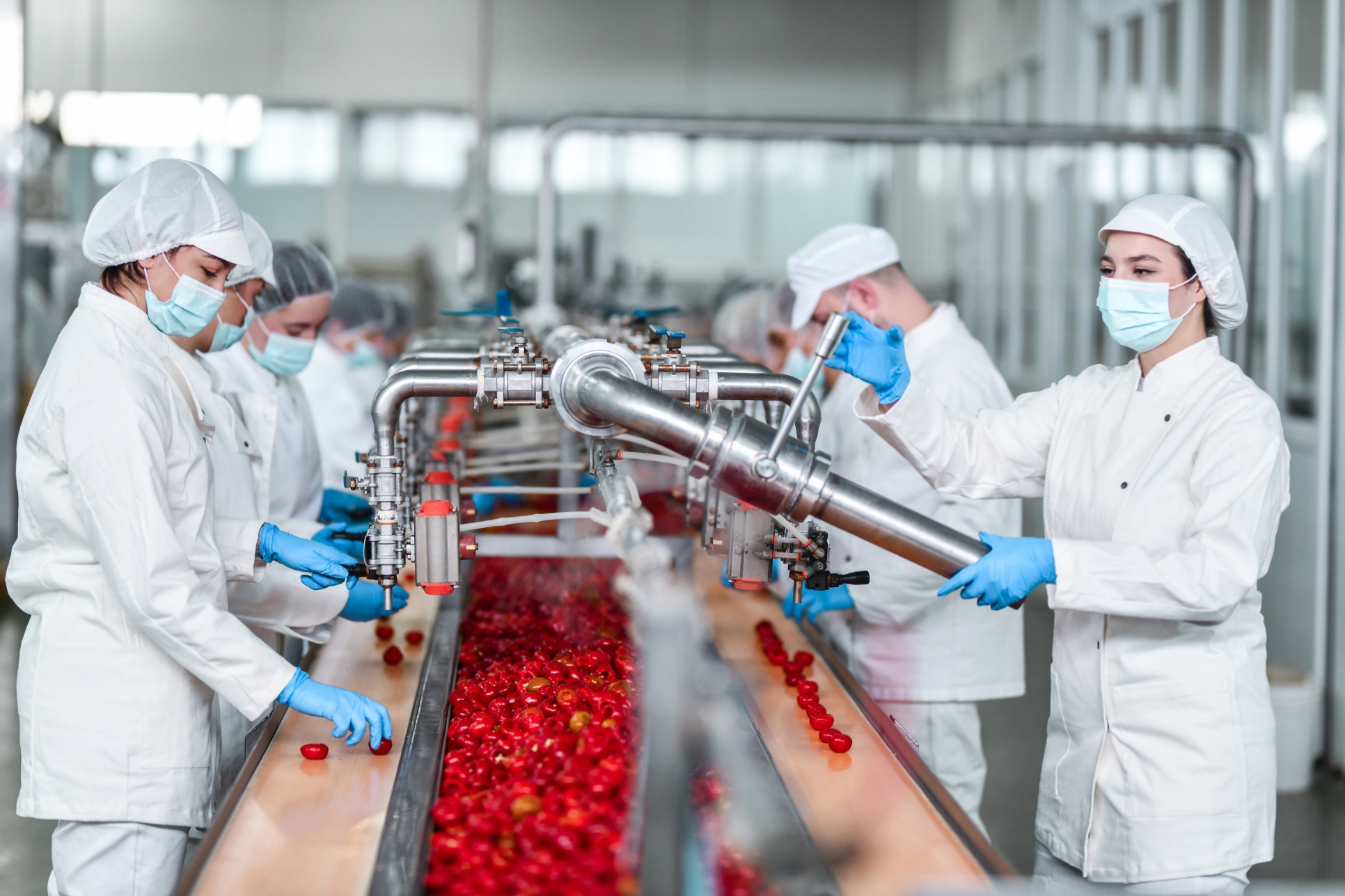 Pracownicy produkcyjni w branży przetwórstwa warzyw i owoców